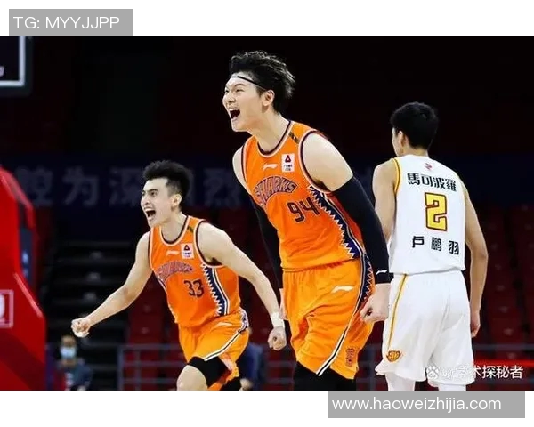 深圳羽毛球队逆袭之路：创新与反击的精彩篇章